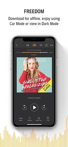 Audible2