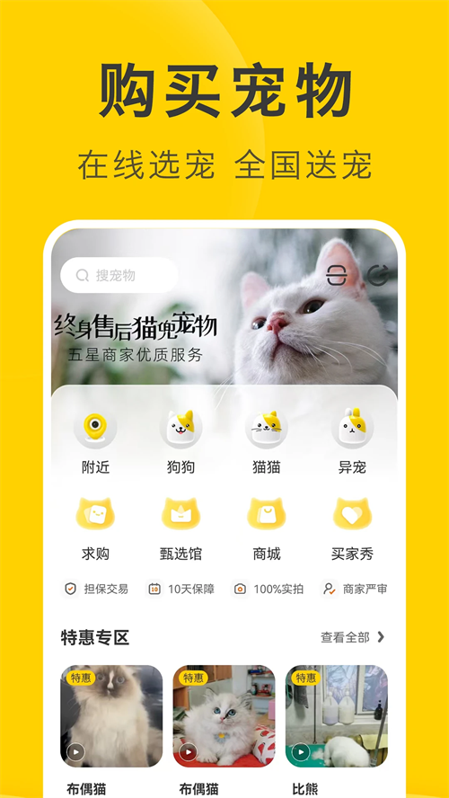 买只宠物3