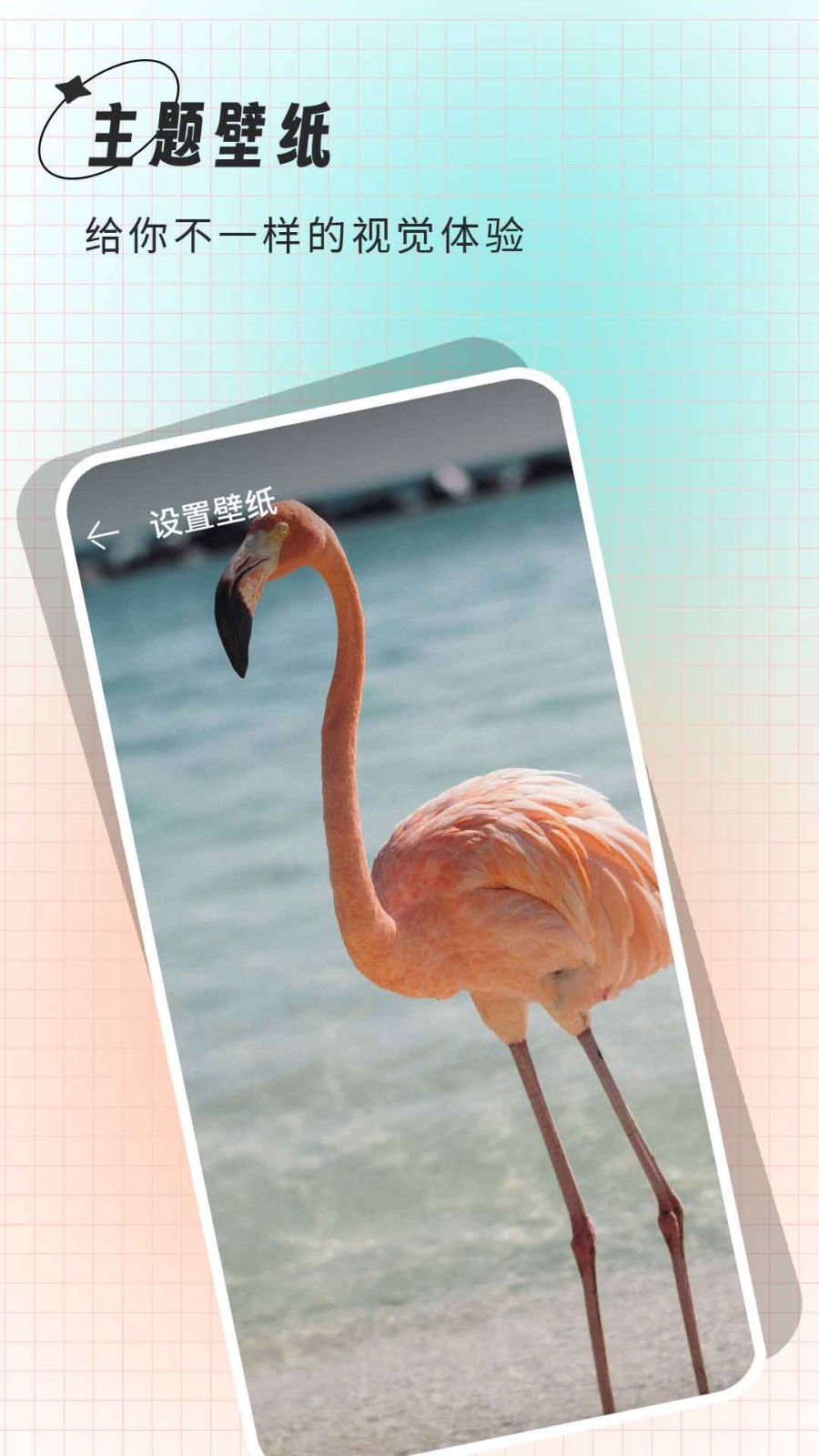 克拉壁纸app1