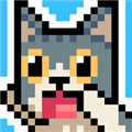 猫跳免费版 最新版v1.3.313