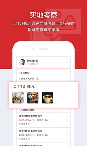 招聘猫4
