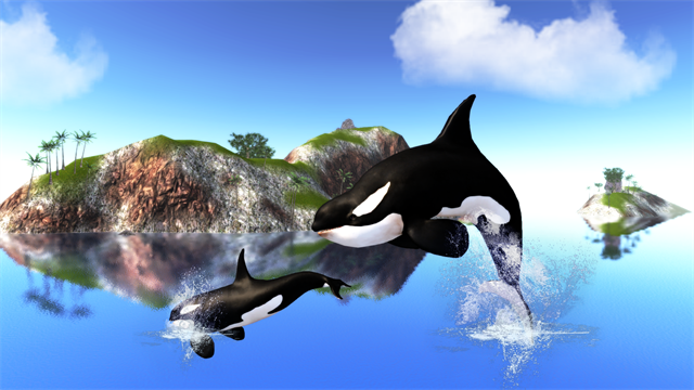 The Killer Whale截图1