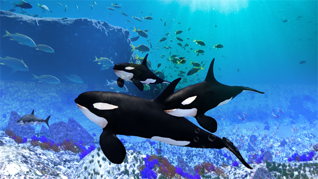 The Killer Whale截图3