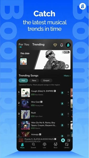 boomplay1