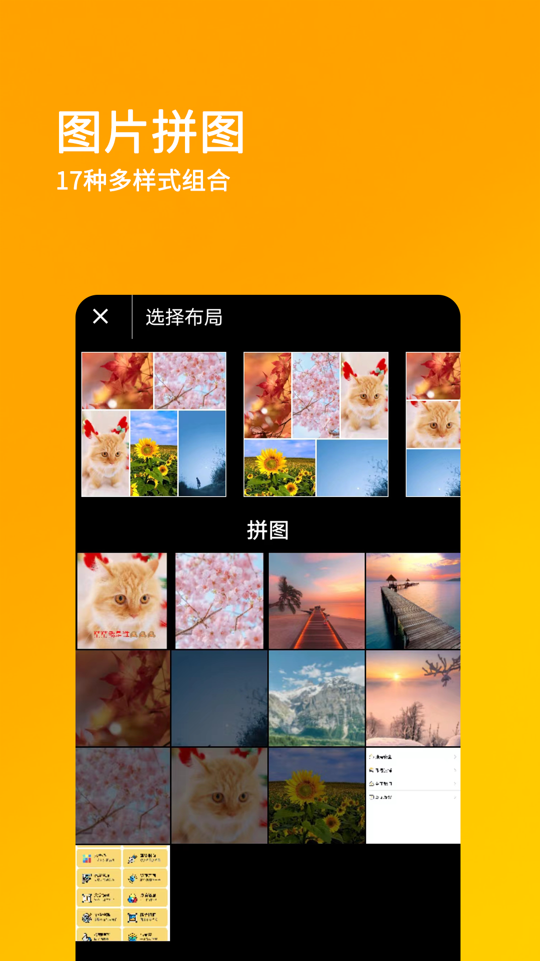 刷兔圈app3
