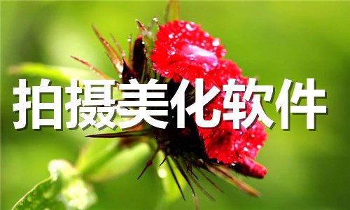手机拍摄美化app合集-热门必备拍摄美化软件推荐-2026拍摄美化软件大全