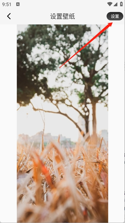 画质圣兽app4