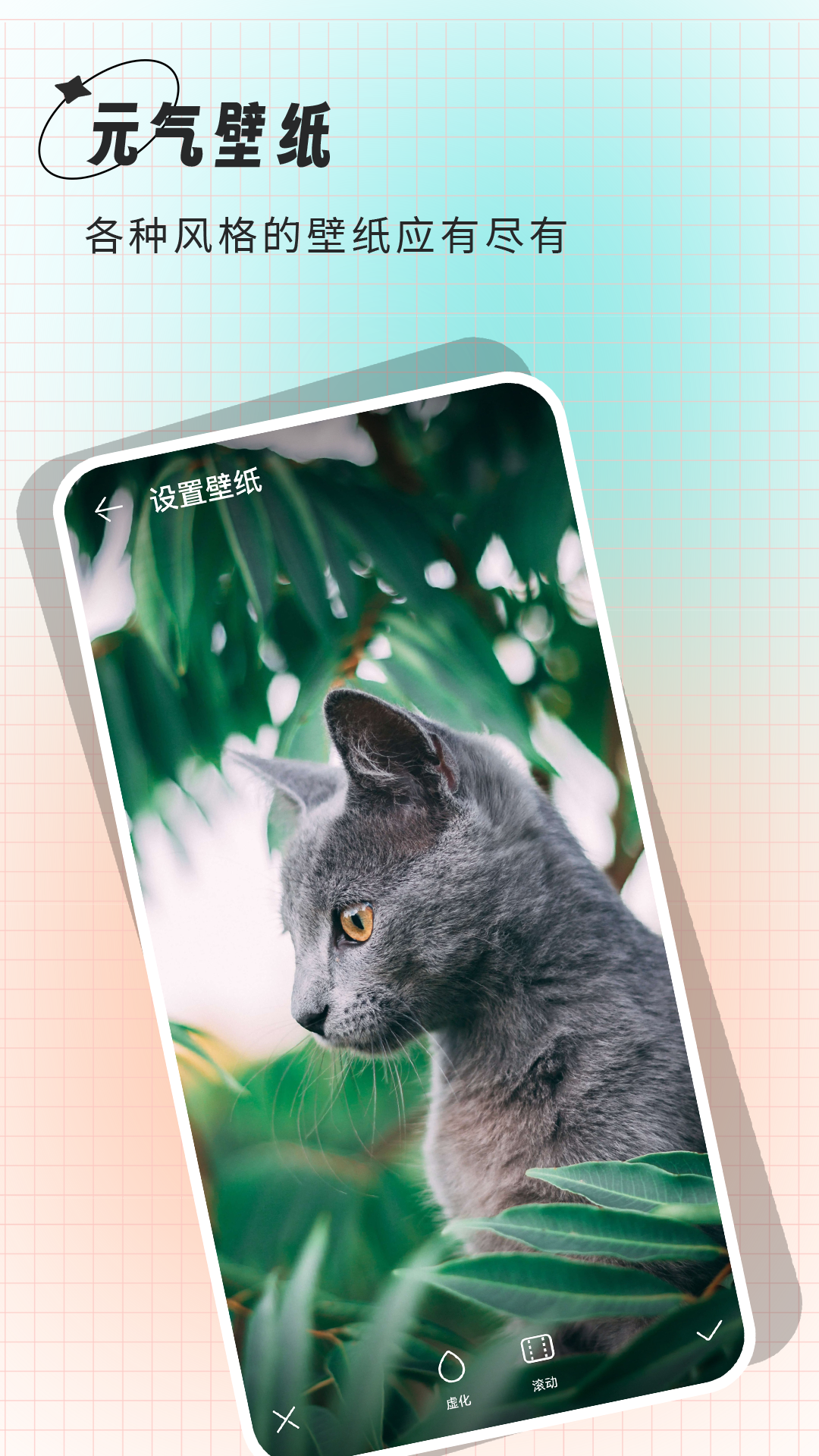 克拉壁纸app4