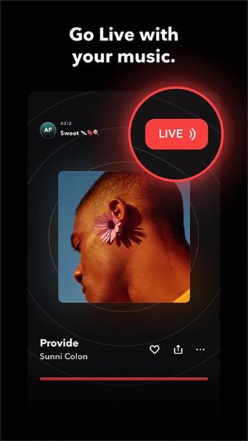 TIDAL1