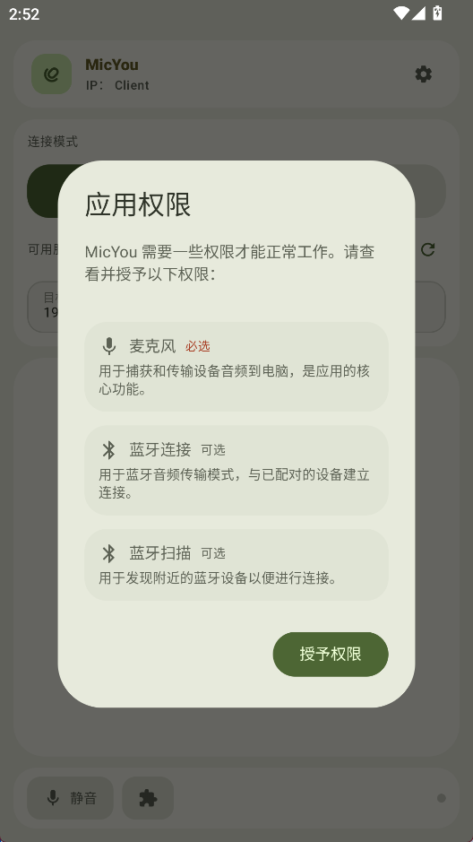 MicYou截图1
