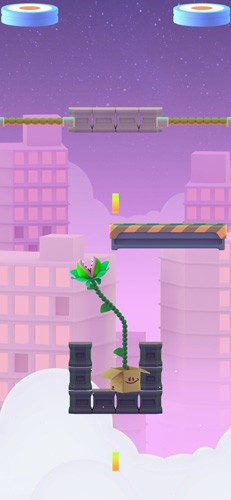 Nom Plant1