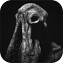 SARCOPH中文版
