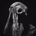 sarcoph游戏 安卓版v2.52sarcoph游戏 安卓版v2.52