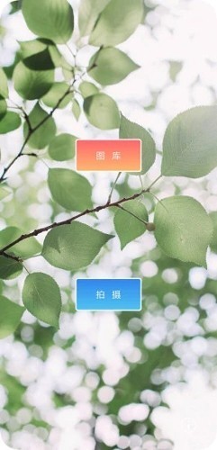 九格美颜相机app2