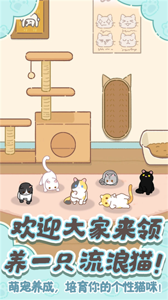 领养一只流浪猫截图2