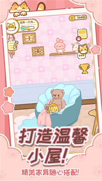 领养一只流浪猫截图3