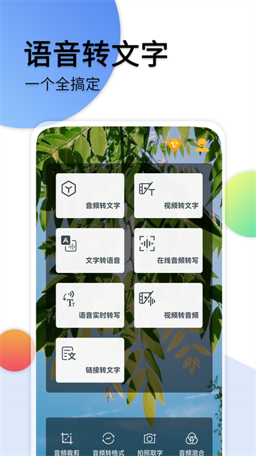 音频转文字助手免费版5