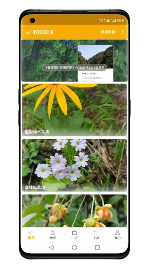 数图田调app4