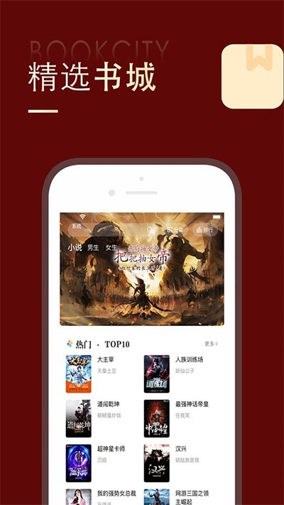 追书大师4