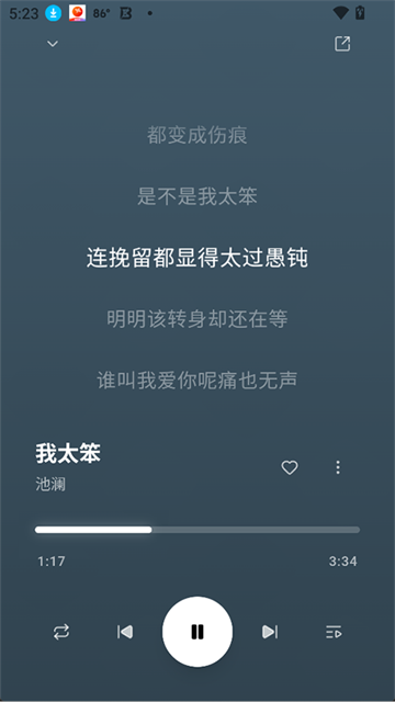 Otter Music(水獭音乐)截图4