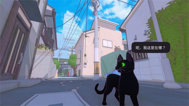 小猫咪大城市截图5
