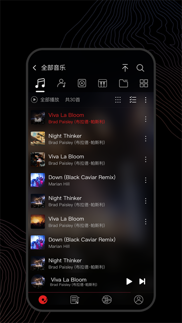 飞傲音乐车机版截图1